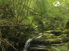 Ruta familiar canal de las tejeras fiestas de Sta Rafaela Ruta familiar canal de las tejeras fiestas de Sta Rafaela