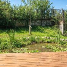 Renaturalización de patios Colegio Esclavas SCJ