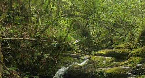 Ruta familiar canal de las tejeras fiestas de Sta Rafaela