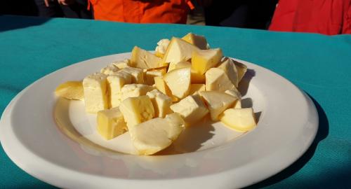 Salida del Colegio Esclavas para trabajar los sectores de producción