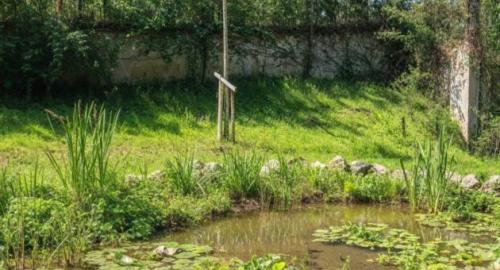 Renaturalización de patios Colegio Esclavas SCJ